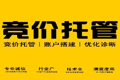 百度推广费用优化策略：成功案例分享